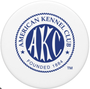 Screenshot 2026-03-10 at 9.16.14 PM